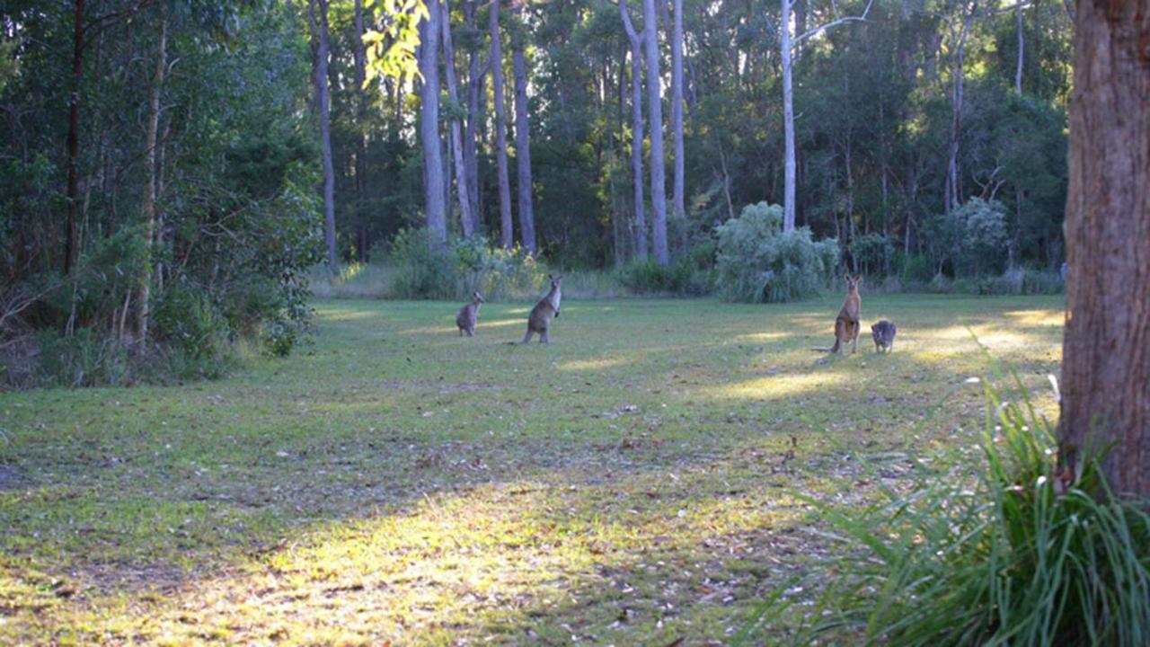 Nrma Darlington Beach Holiday Resort Arrawarra ภายนอก รูปภาพ