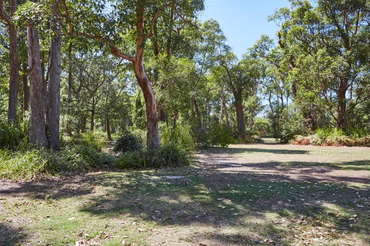 Nrma Darlington Beach Holiday Resort Arrawarra ภายนอก รูปภาพ